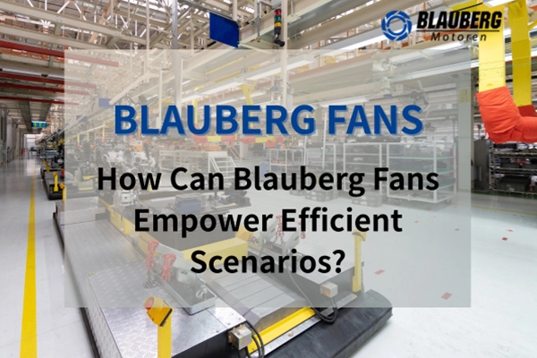 Blauberg-fans